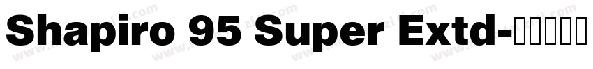 Shapiro 95 Super Extd字体转换
